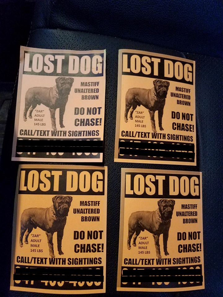 Usefull Tools | Lost Dogs Illinois
