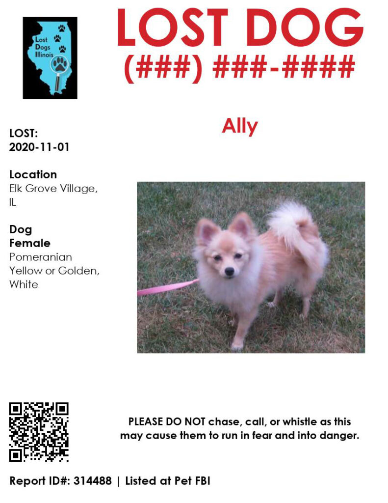 Create Your Own Flyers Lost Dogs Illinois